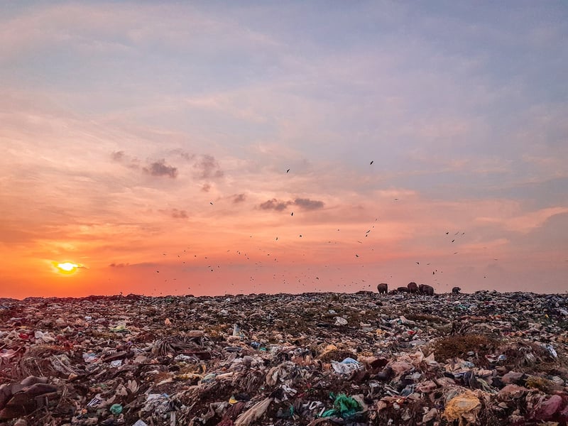 Waste Audit Challenge
